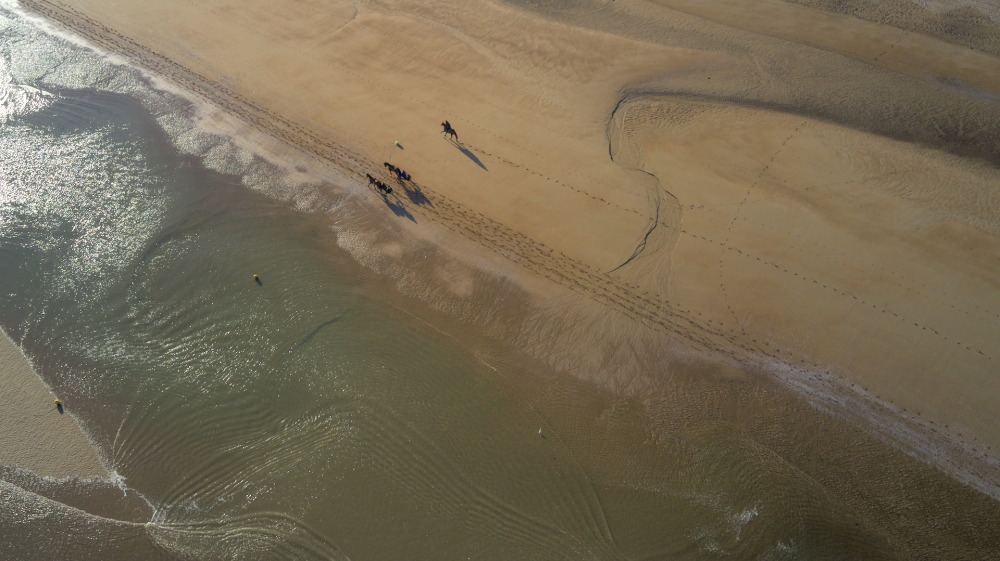 Sulkies sur la plage